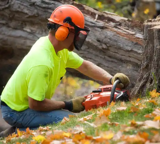 tree services Sparks